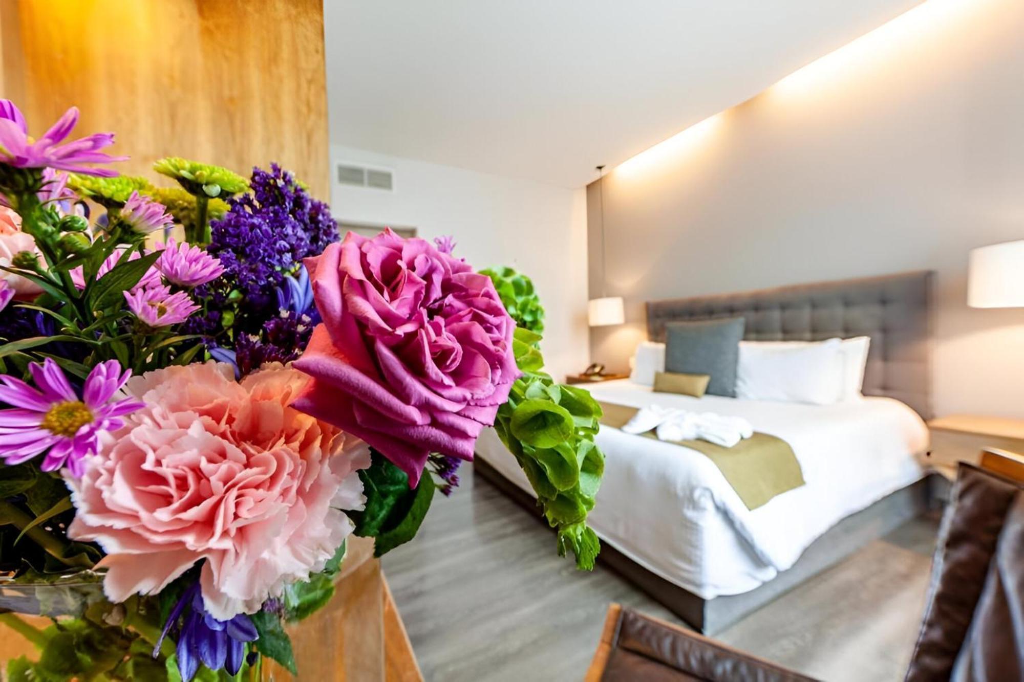 Suites Del Angel Мехіко Екстер'єр фото